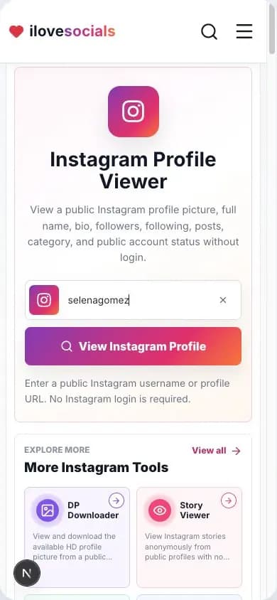 Instagram Profile Viewer with a public username entered and view button ready