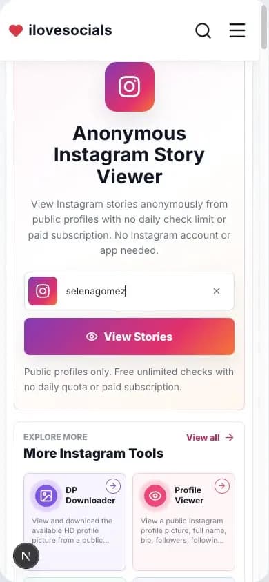 Anonymous Instagram Story Viewer with a public username entered and view button ready