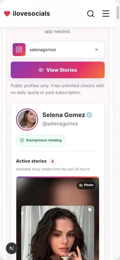 Anonymous Instagram Story Viewer showing an active public Story preview