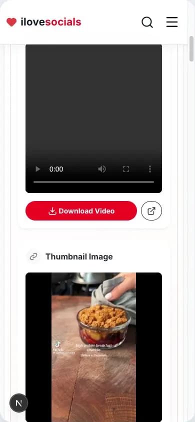 Pinterest Video Downloader result showing the video download button and thumbnail
