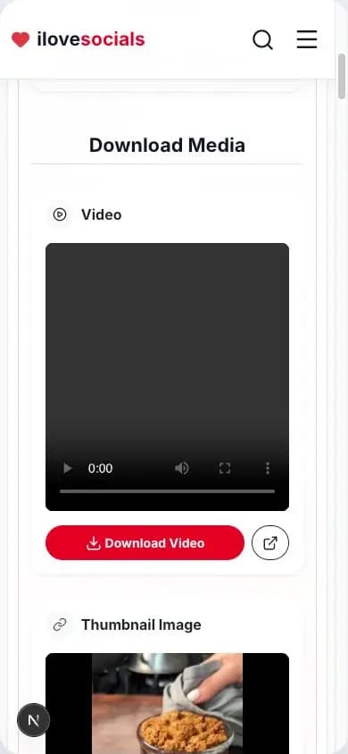 Pinterest Video Downloader result showing the returned video preview player